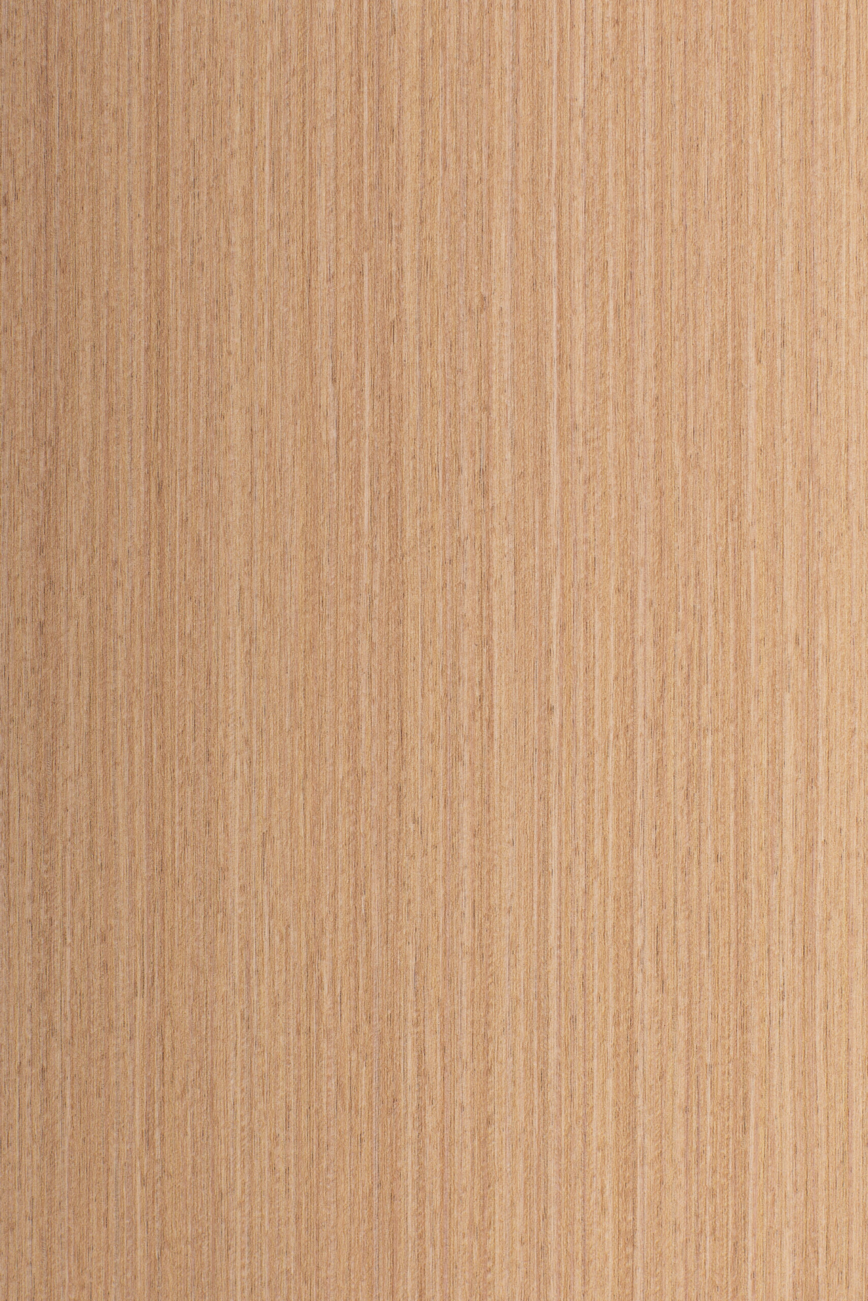 PRR516 01-27F