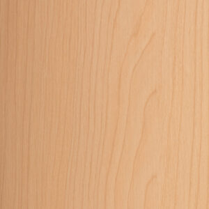 PTBS658 01-169F
